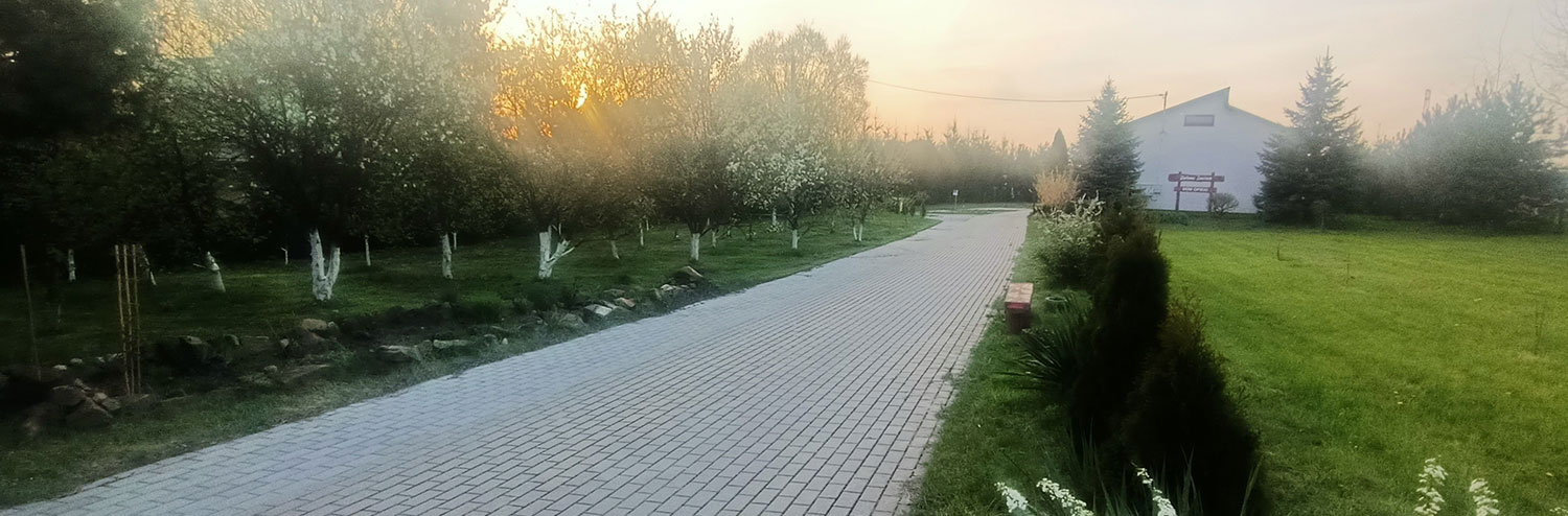 Alejka i zieleń